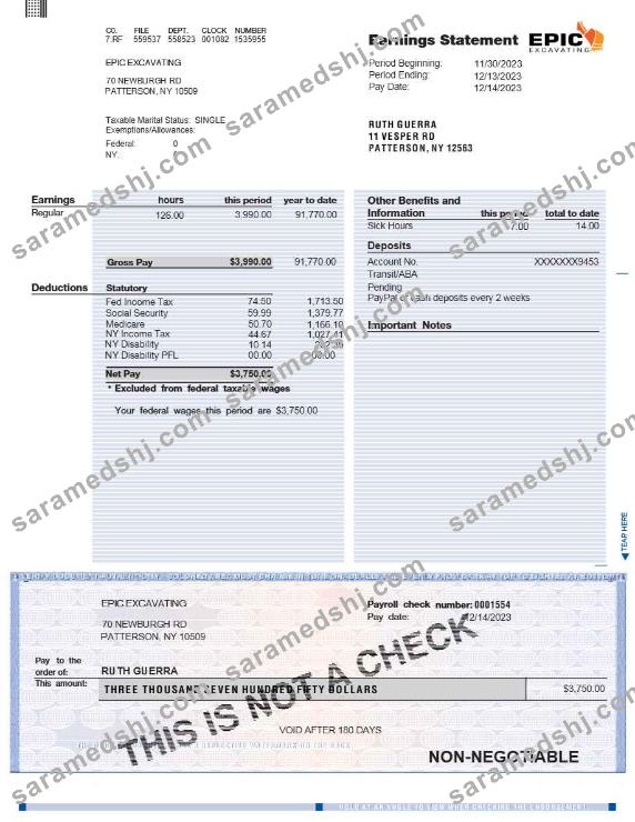 EPIC EXCAVATING earnings statement template in Word and PDF formats.pdf, 1